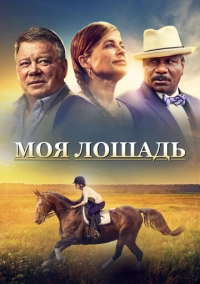 Моя лошадь (2016)