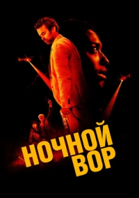 Ночной вор (2024)