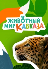 Животный мир Кавказа (2022)