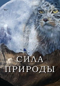 Сила природы (2020)