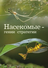 Насекомые - гении стратегии (2021)