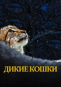 Дикие кошки (2021)