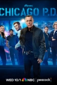 Полиция Чикаго (2014)