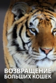Возвращение больших кошек (2020)